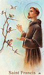 St. Francis memorial Print-image